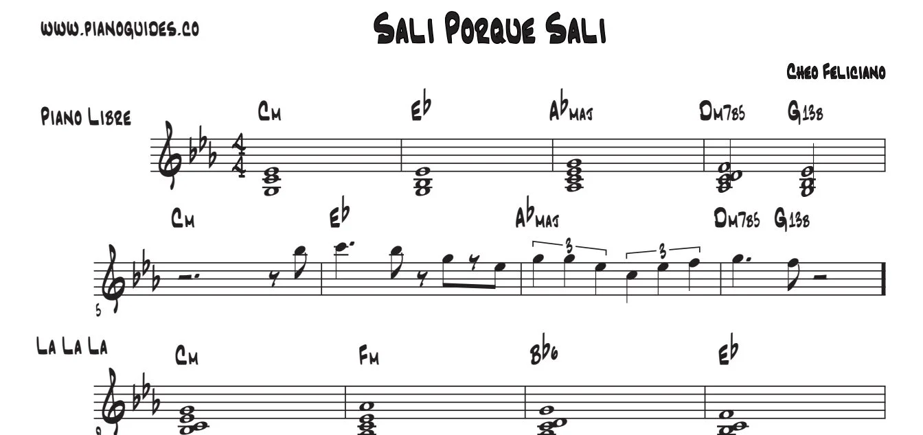 Título y primeras líneas de la guía de Salí Porque Salí